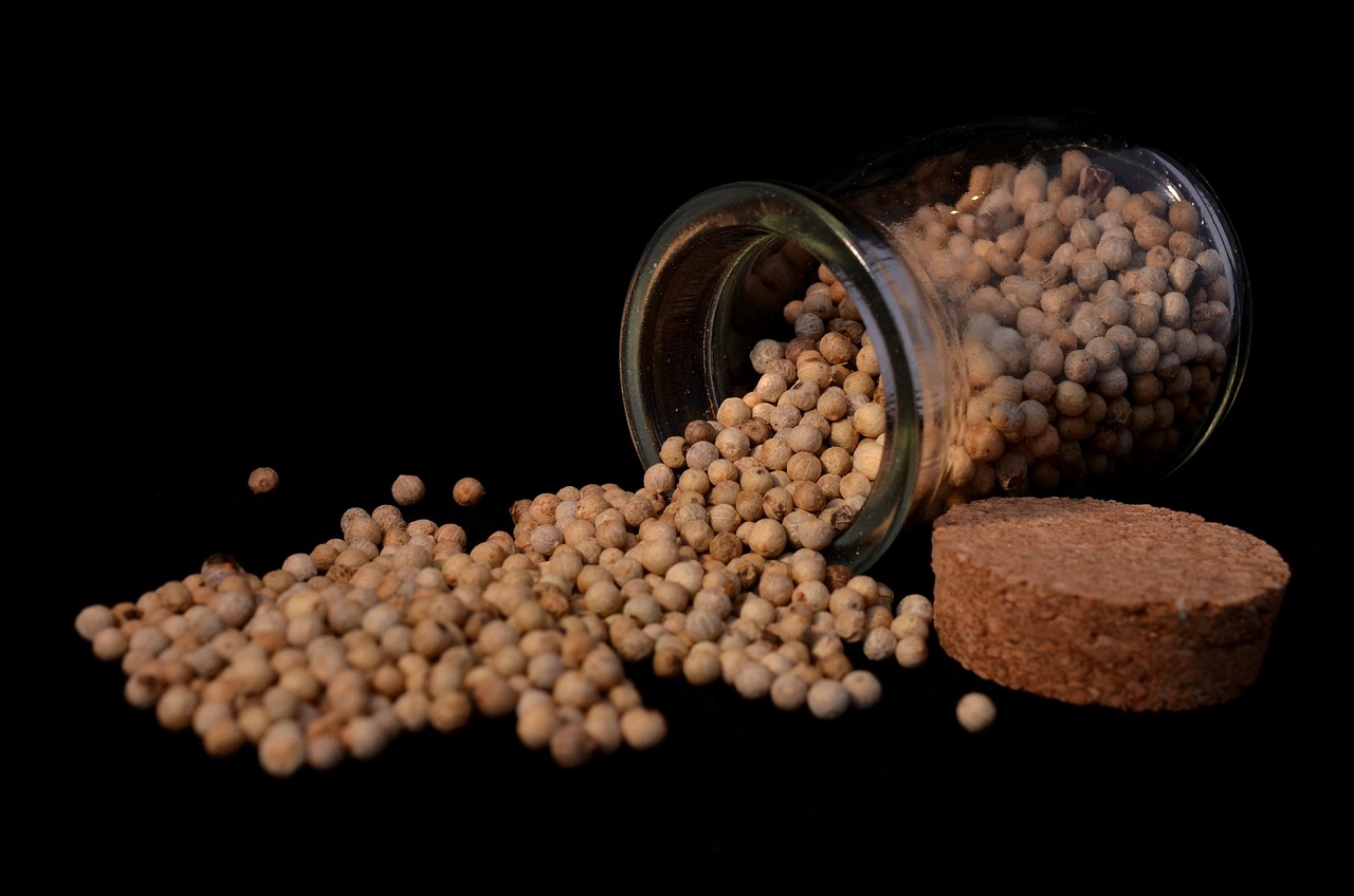 Levande Landskap Uppland evenemang